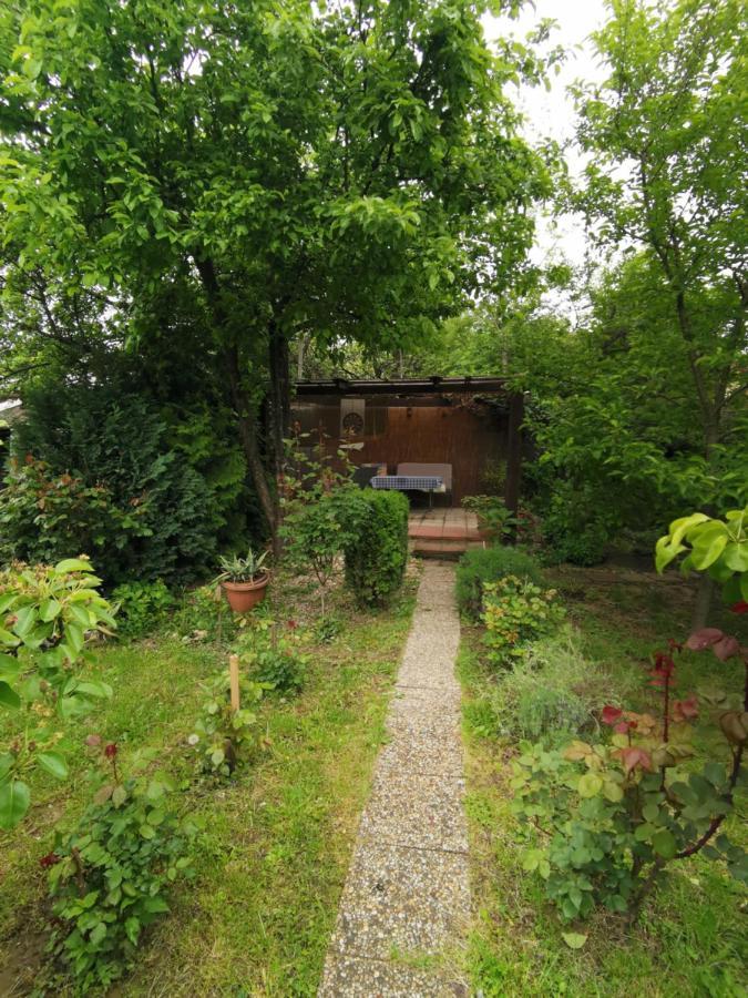 Rodinny Apartman V Dome Košice Buitenkant foto